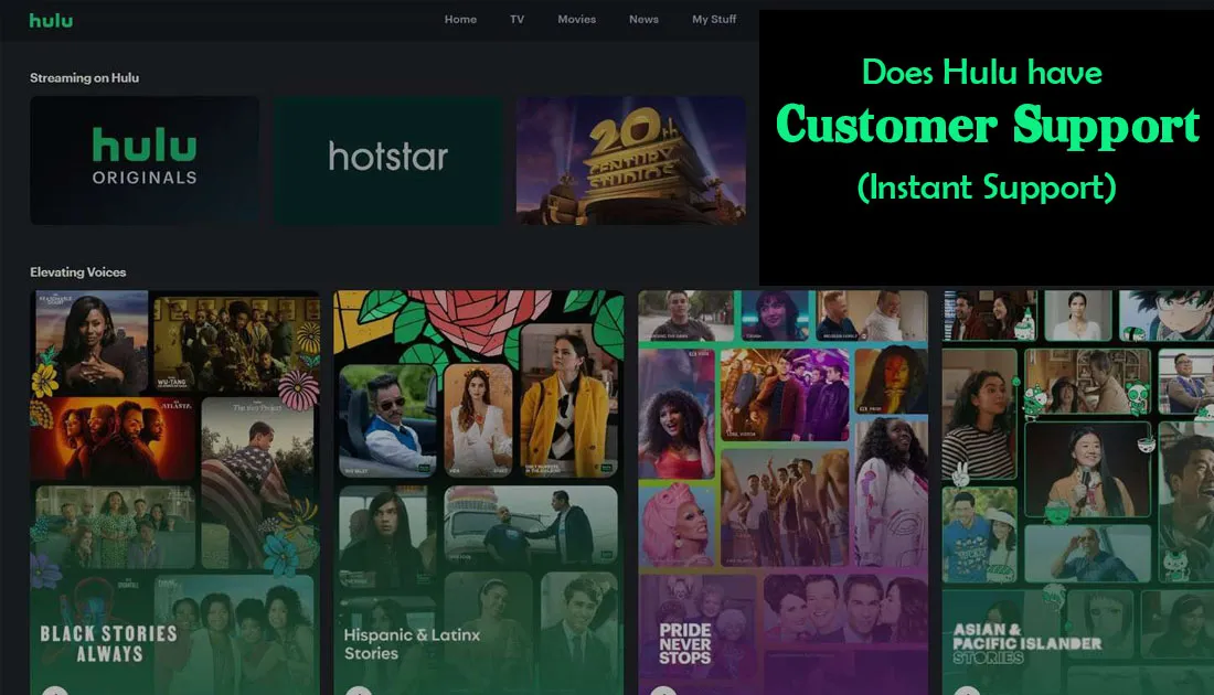 Does Hulu have Customer Service (Instant Support) 